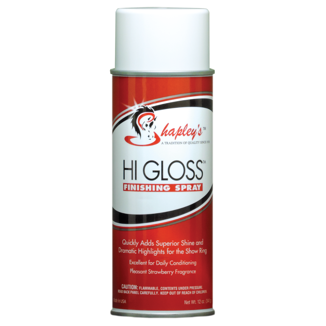 HI GLOSS (Finishing Spray)